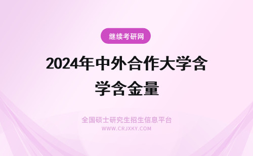 2024年中外合作大学含金量 计量大学中外合作毕业含金量