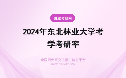 2024年东北林业大学考研率 东北林业大学考研通过率