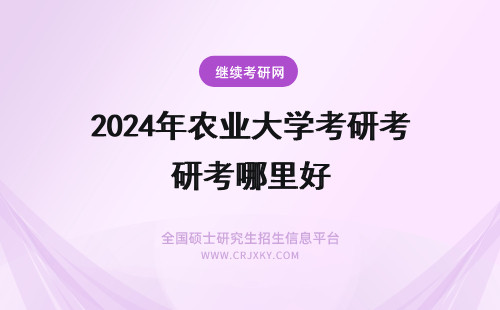 2024年农业大学考研考哪里好 沈阳农业大学在职研究生怎么样？好考吗？(沈阳农业大学在哪里个城市)